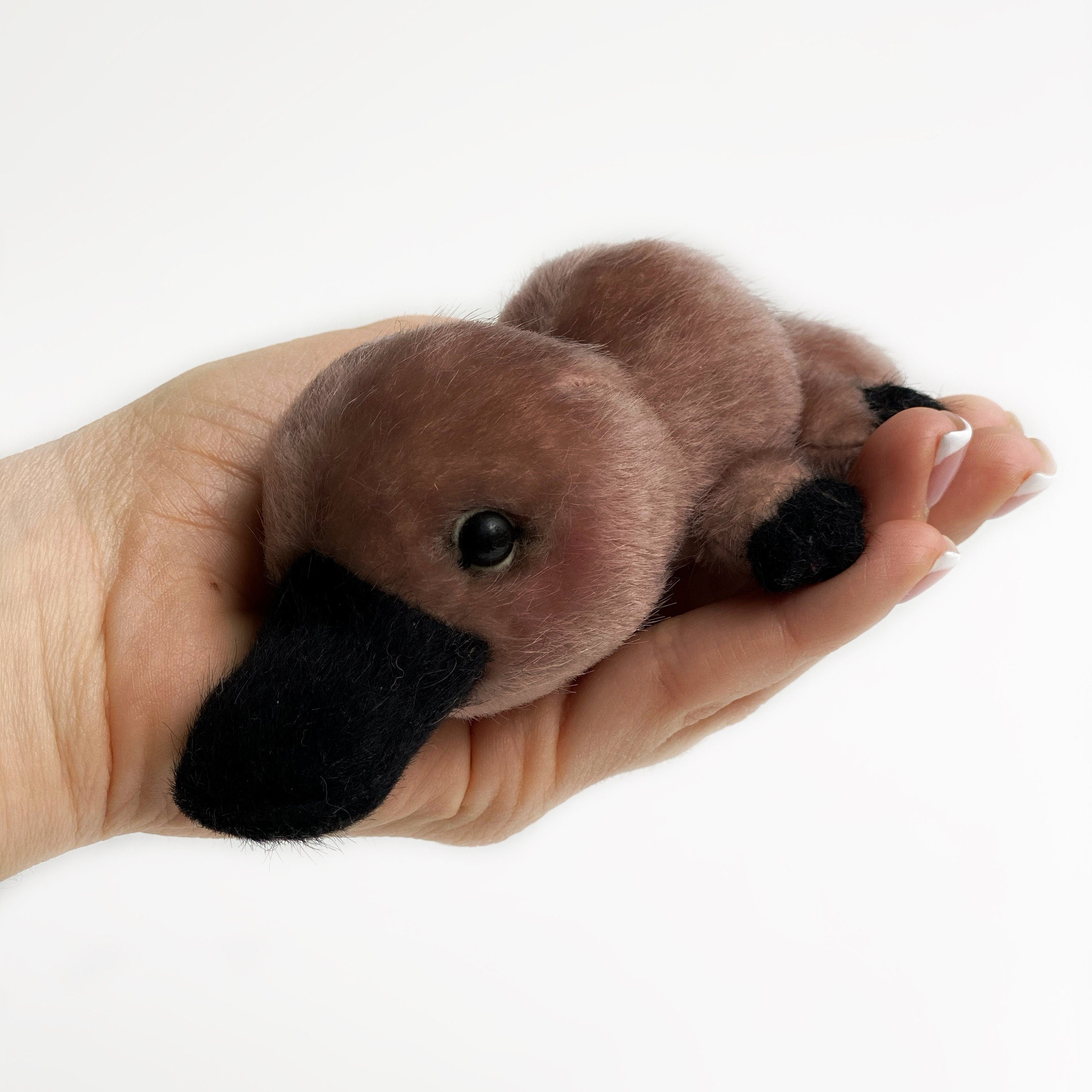 Platypus PDF sewing pattern Video tutorial DIY stuffed toy pattern kids toy pattern easy to sew